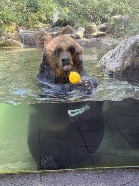 サホロリゾート　ベア･マウンテンに投稿された画像（2025/9/19）