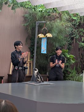 マクセル アクアパーク品川に投稿された画像（2025/9/19）