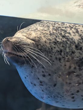 マクセル アクアパーク品川に投稿された画像（2025/9/19）