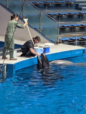 マクセル アクアパーク品川に投稿された画像（2025/9/19）