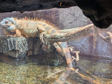 マクセル アクアパーク品川に投稿された画像（2025/9/19）