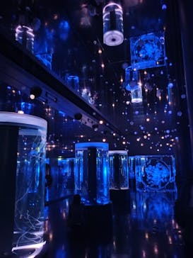 マクセル アクアパーク品川に投稿された画像（2025/9/19）