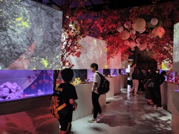 マクセル アクアパーク品川に投稿された画像（2025/9/19）