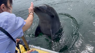 日間賀島ドルフィンビーチに投稿された画像（2025/9/19）