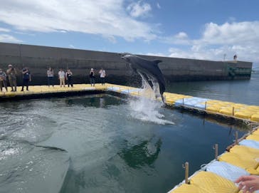 日間賀島ドルフィンビーチに投稿された画像（2025/9/19）