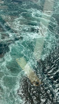 徳島県立 渦の道に投稿された画像（2025/9/19）