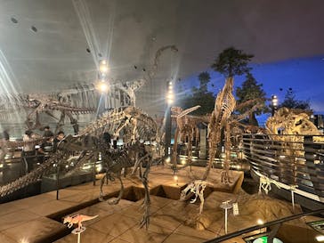 福井県立恐竜博物館に投稿された画像（2025/9/19）
