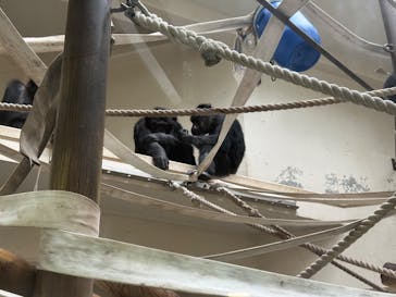 日立市かみね動物園に投稿された画像（2025/9/19）