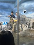 新江ノ島水族館に投稿された画像（2025/9/19）