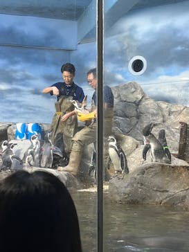 新江ノ島水族館に投稿された画像（2025/9/19）