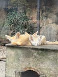 伊豆シャボテン動物公園に投稿された画像（2025/9/19）