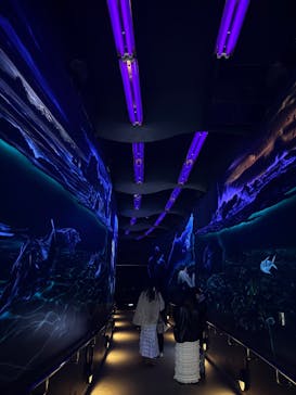 マリンワールド海の中道に投稿された画像（2025/9/19）