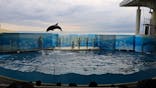 新江ノ島水族館に投稿された画像（2025/9/19）