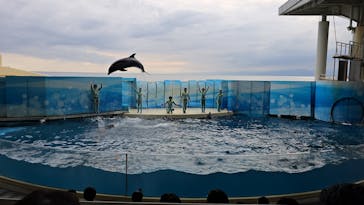 新江ノ島水族館に投稿された画像（2025/9/19）