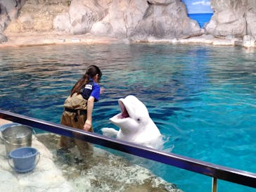 名古屋港水族館に投稿された画像（2025/9/19）