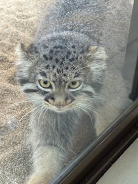 那須どうぶつ王国に投稿された画像（2025/9/19）