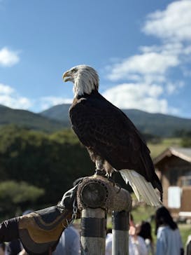 那須どうぶつ王国に投稿された画像（2025/9/19）