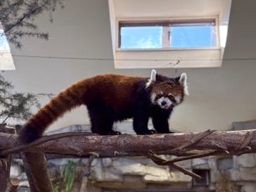 那須どうぶつ王国に投稿された画像（2025/9/19）