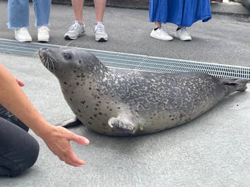 東武動物公園に投稿された画像（2025/9/19）