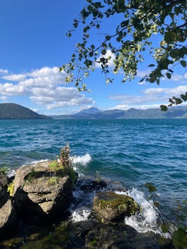 Pacifica（パシフィカ）に投稿された画像（2025/9/19）