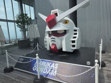 ハルカス300(展望台)に投稿された画像（2025/9/19）