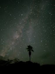 奄美ナイトツアーサービスに投稿された画像（2025/9/19）