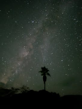 奄美ナイトツアーサービスに投稿された画像（2025/9/19）