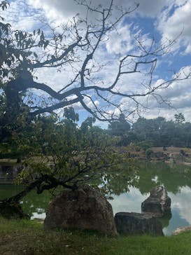 京都市観光協会（催行運営：株式会社らくたび）に投稿された画像（2025/9/19）