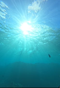 武藤潜水に投稿された画像（2025/9/20）