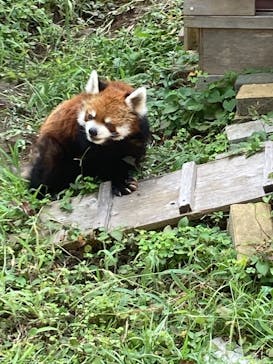 千葉市動物公園に投稿された画像（2025/9/20）