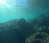 青の洞窟専門店　沖縄ダイビングショップ和に投稿された画像（2025/9/20）