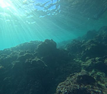 青の洞窟専門店　沖縄ダイビングショップ和に投稿された画像（2025/9/20）