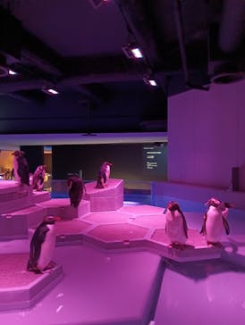 AOAO SAPPOROに投稿された画像（2025/9/20）