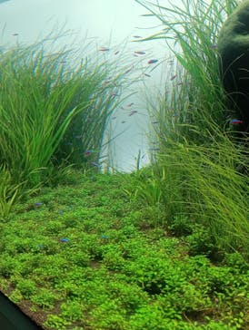 AOAO SAPPOROに投稿された画像（2025/9/20）