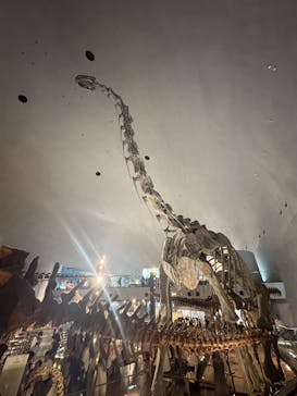 福井県立恐竜博物館に投稿された画像（2025/9/20）