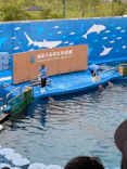 仙台うみの杜水族館に投稿された画像（2025/9/20）