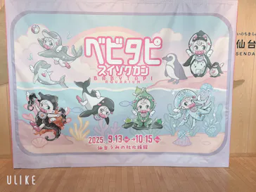 仙台うみの杜水族館に投稿された画像（2025/9/20）