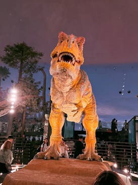 福井県立恐竜博物館に投稿された画像（2025/9/20）