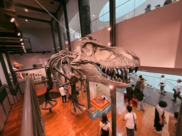 福井県立恐竜博物館に投稿された画像（2025/9/20）