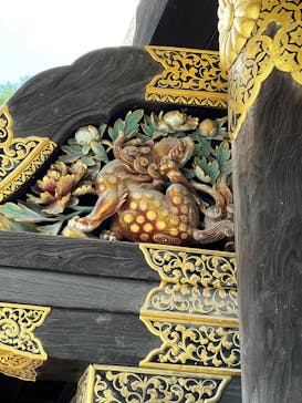 元離宮二条城に投稿された画像（2025/9/20）