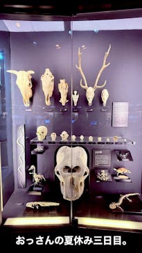 滋賀県立琵琶湖博物館に投稿された画像（2025/8/10）