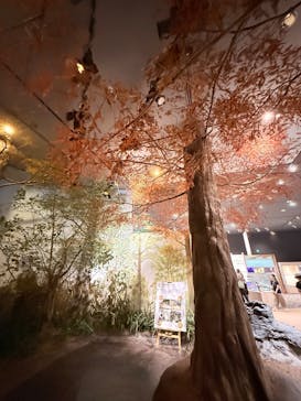 滋賀県立琵琶湖博物館に投稿された画像（2025/8/10）