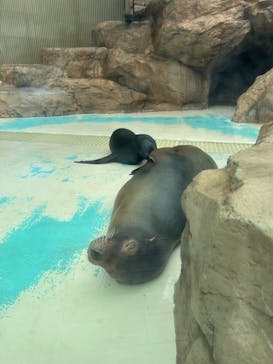 サンシャイン水族館に投稿された画像（2025/9/20）