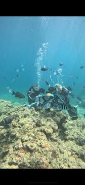 武藤潜水に投稿された画像（2025/9/20）