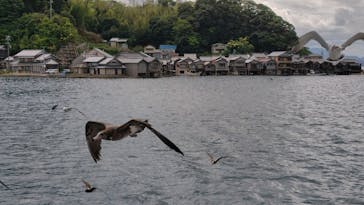 伊根湾めぐり遊覧船に投稿された画像（2025/9/20）