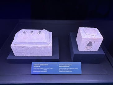 ACN ラムセス大王展 ファラオたちの黄金に投稿された画像（2025/9/20）