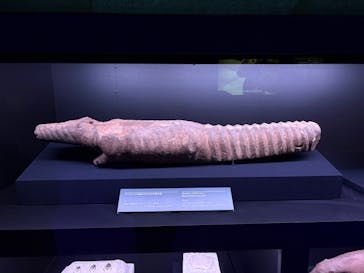 ACN ラムセス大王展 ファラオたちの黄金に投稿された画像（2025/9/20）