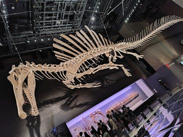 福井県立恐竜博物館に投稿された画像（2025/9/20）