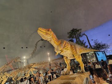 福井県立恐竜博物館に投稿された画像（2025/9/20）