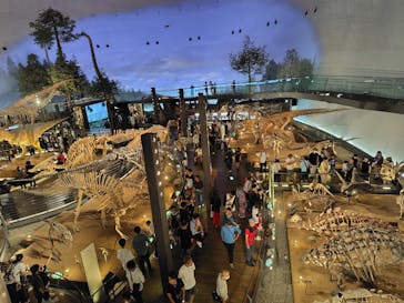 福井県立恐竜博物館に投稿された画像（2025/9/20）